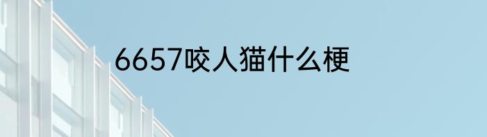 6657咬人猫什么梗