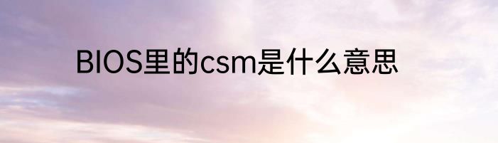 BIOS里的csm是什么意思