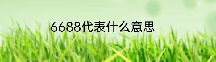 6688代表什么意思