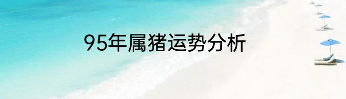95年属猪运势分析