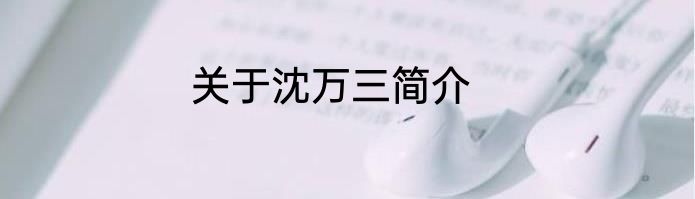 关于沈万三简介