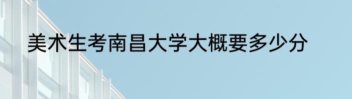 美术生考南昌大学大概要多少分