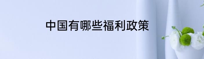 中国有哪些福利政策