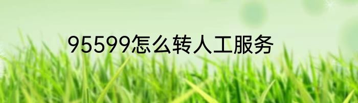 95599怎么转人工服务