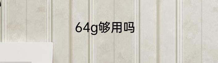 64g够用吗
