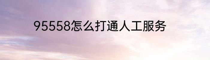 95558怎么打通人工服务