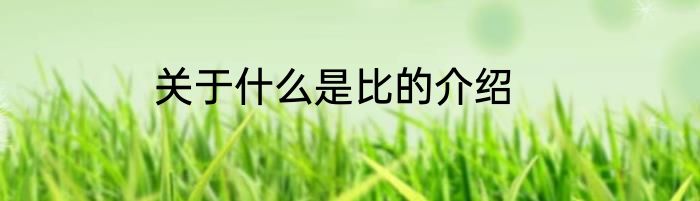 关于什么是比的介绍