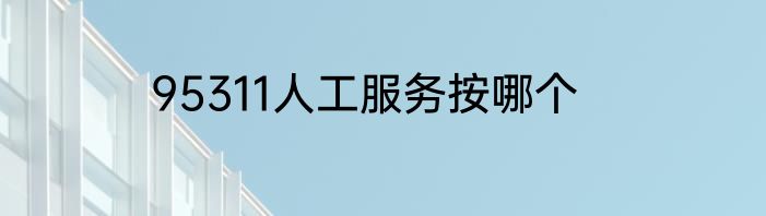 95311人工服务按哪个