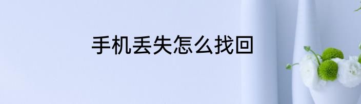 手机丢失怎么找回