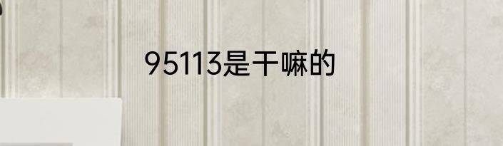 95113是干嘛的