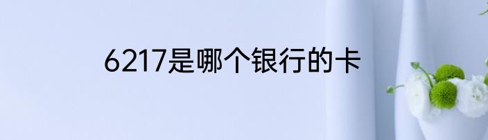 6217是哪个银行的卡