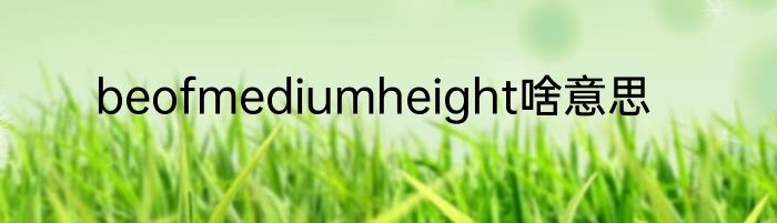 beofmediumheight啥意思