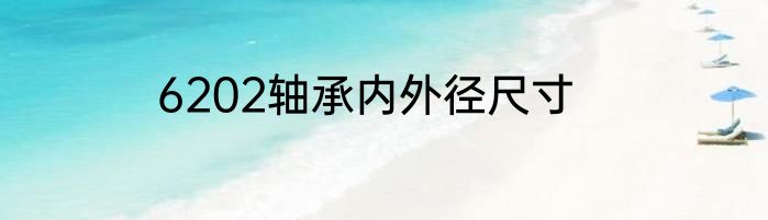 6202轴承内外径尺寸