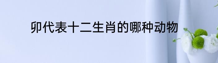 卯代表十二生肖的哪种动物