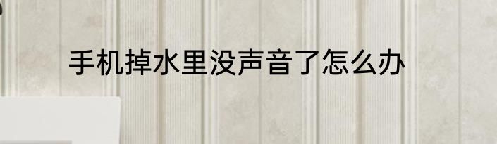 手机掉水里没声音了怎么办