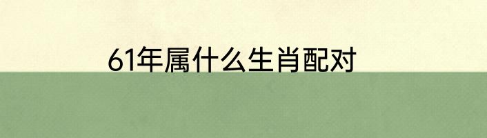 61年属什么生肖配对