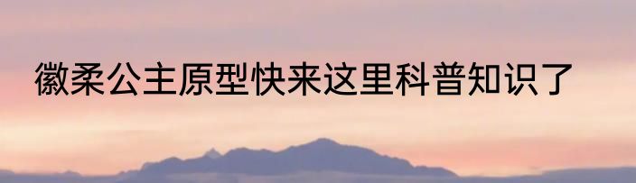 徽柔公主原型快来这里科普知识了