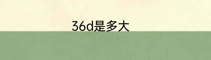 36d是多大