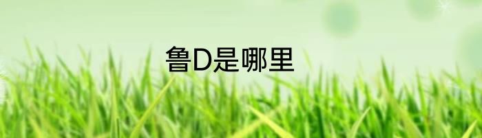 鲁D是哪里