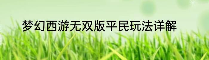 梦幻西游无双版平民玩法详解