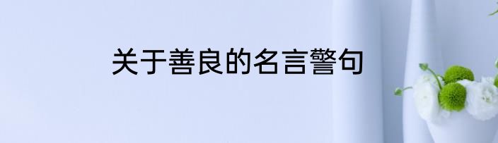 关于善良的名言警句