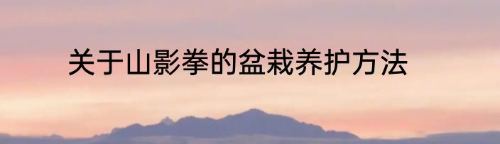 617什么意思