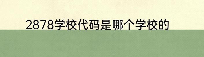 2878学校代码是哪个学校的
