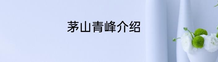 茅山青峰介绍