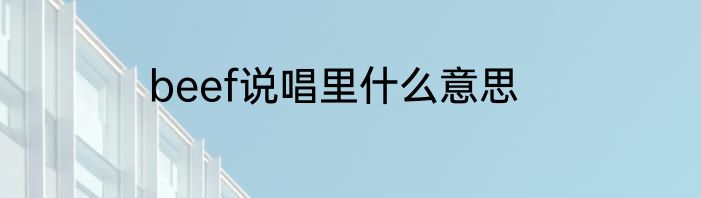 beef说唱里什么意思