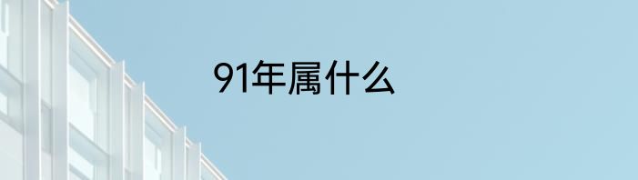 91年属什么