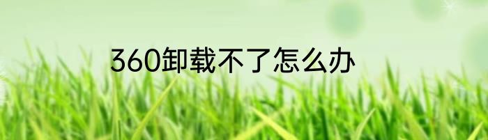 360卸载不了怎么办