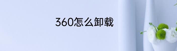 360怎么卸载