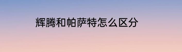 辉腾和帕萨特怎么区分