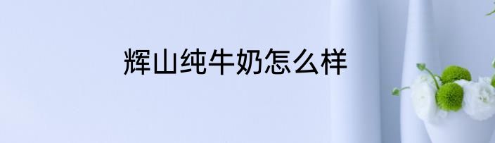 辉山纯牛奶怎么样