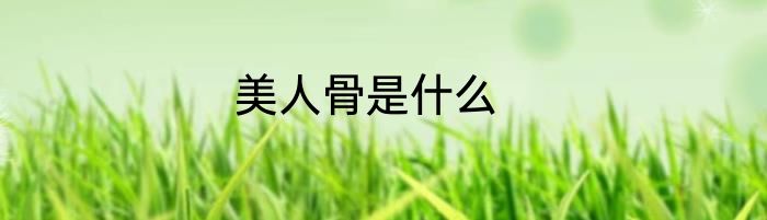 美人骨是什么