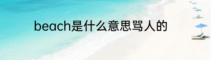 beach是什么意思骂人的