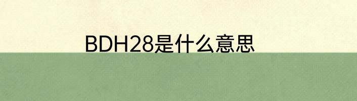 BDH28是什么意思