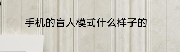 手机的盲人模式什么样子的