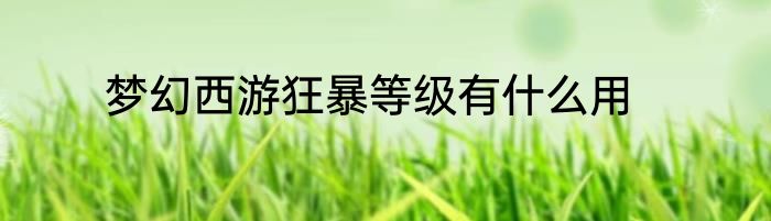 梦幻西游狂暴等级有什么用