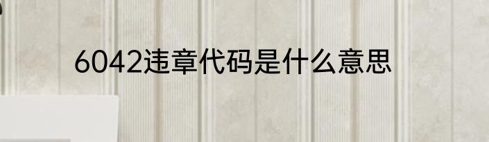 6042违章代码是什么意思