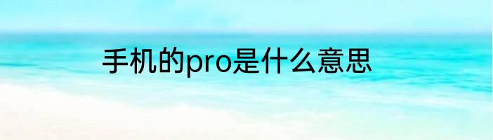 手机的pro是什么意思