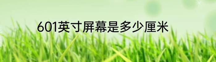 601英寸屏幕是多少厘米