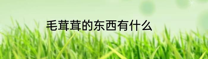 毛茸茸的东西有什么