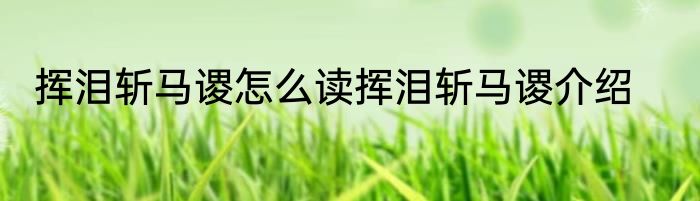 挥泪斩马谡怎么读挥泪斩马谡介绍