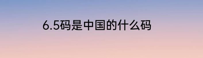 6.5码是中国的什么码