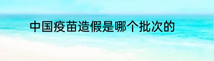 中国疫苗造假是哪个批次的