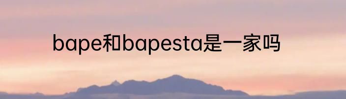 bape和bapesta是一家吗