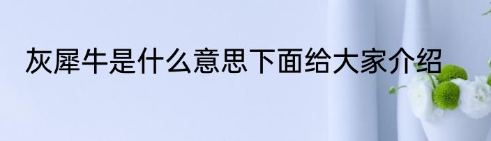 灰犀牛是什么意思下面给大家介绍