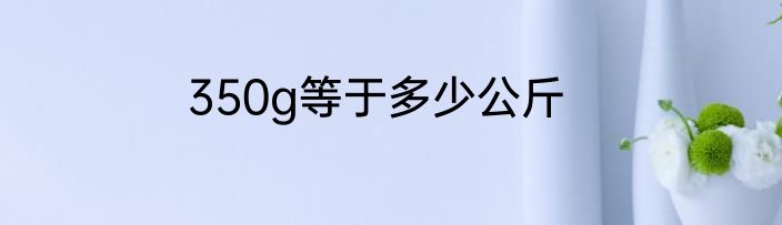 350g等于多少公斤