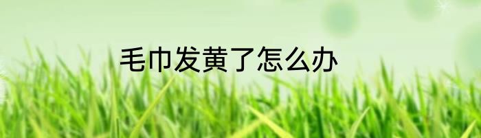 毛巾发黄了怎么办